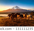 Horse  131111235