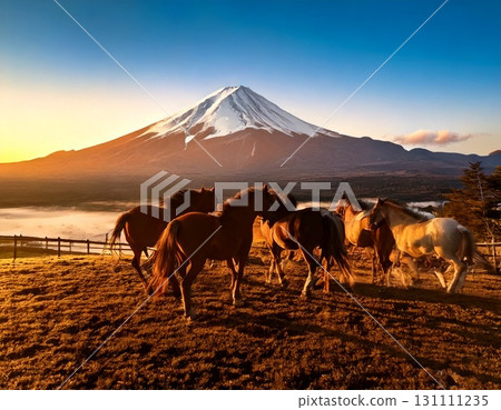 Horse  131111235