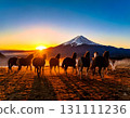 Horse  131111236