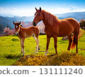 Horse  131111240
