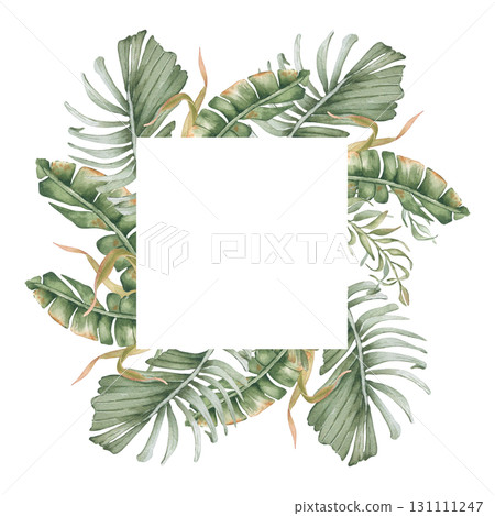 Tropical watercolor frame of palm fronds and ferns in muted sage tones isolated. Jungle greenery plants hand painted for stationery, spa resort design. Tropical foliage drawing for packaging. Tropical watercolor frame of palm fronds and ferns in muted sage tones isolated. Jungle greenery plants hand painted for stationery, spa resort design. Tropical foliage drawing for packaging. 131111247