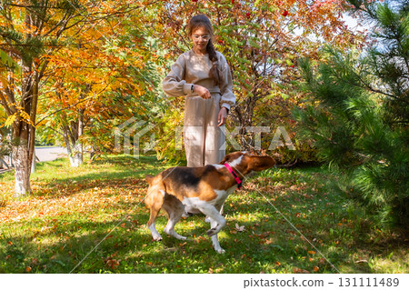 Girl playing with dog in autumn park surrounded by colorful foliage. 131111489