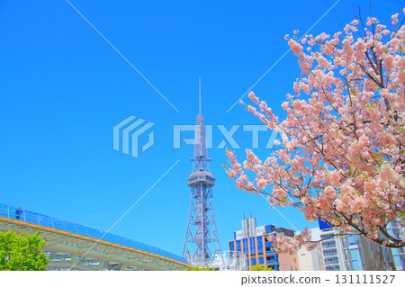 Nagoya TV Tower and cherry blossoms in Aichi Prefecture 131111527