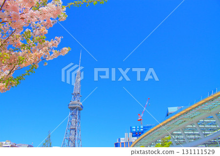 名古屋電視塔和愛知縣的櫻花 131111529
