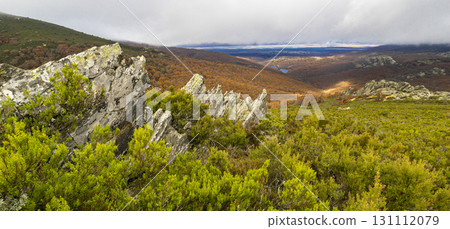 Hayedo de la Pedrosa Natural Protected Area, Spain Hayedo de la Pedrosa Natural Protected Area, Spain 131112079