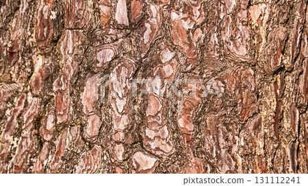 Wood Textured Background Wood Textured Background 131112241