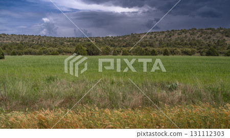 Agricultural Field Agricultural Field and Mediterranean Forest, , Spain Agricultural Field Agricultural Field and Mediterranean Forest, , Spain 131112303