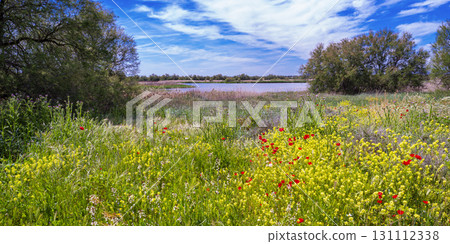 Tablas de Daimiel National Park, Spain 131112338