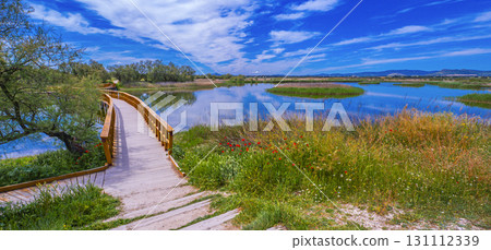 Tablas de Daimiel National Park, Spain 131112339