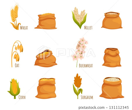 Cartoon bags with various cereals. Plants of wheat, buckwheat, sorghum, oat millet and corn. Isolated textile bag with harvest, sapid vector set Cartoon bags with various cereals. Plants of wheat, buckwheat, sorghum, oat millet and corn. Isolated textile bag with harvest, sapid vector set 131112345