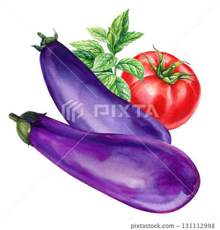 Eggplants with tomato and mint watercolor illustration fresh organic vegetables healthy summer food design 131112998