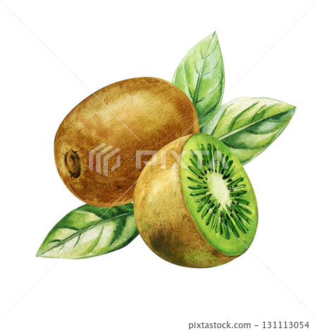 Kiwi fruit with green leaves watercolor illustration fresh tropical exotic healthy organic food design 131113054