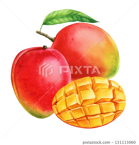 Mango fruits with leaf and sliced cubes watercolor illustration tropical exotic summer fruit healthy food design 131113060