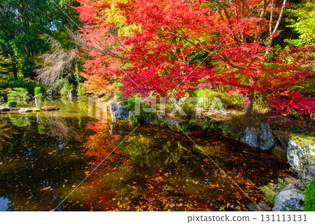 Autumn leaves in the garden of Yoshimineji Temple's inner sanctuary Autumn leaves in the garden of Yoshimineji Temple's inner sanctuary 131113131