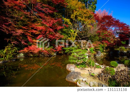 Autumn leaves in the garden of Yoshimineji Temple's inner sanctuary Autumn leaves in the garden of Yoshimineji Temple's inner sanctuary 131113138