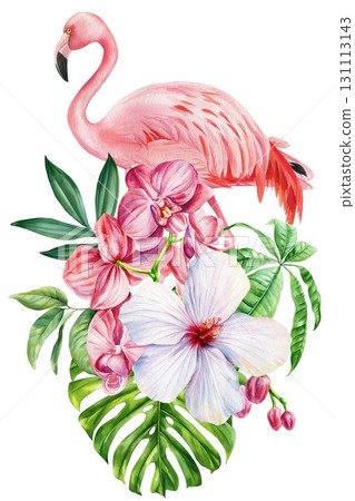 Pink flamingo with orchid and white hibiscus flowers tropical monstera leaves watercolor exotic botanical illustration 131113143