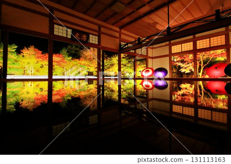 The beautifully mirrored floor... A spectacular autumn night view with autumn leaves reflected in it 131113163