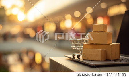 Trolley with Boxes and Laptop in Bright Retail Environment 131113463