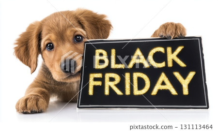 Playful Puppy with Black Placard Displaying Bold Gold Text 131113464