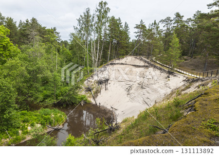 White Dune in Saulkrasti, Latvia with Pine Forest and Meandering River 131113892