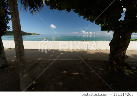 A quiet blue summer sea seen from the shade of the trees A quiet blue summer sea seen from the shade of the trees 131114263