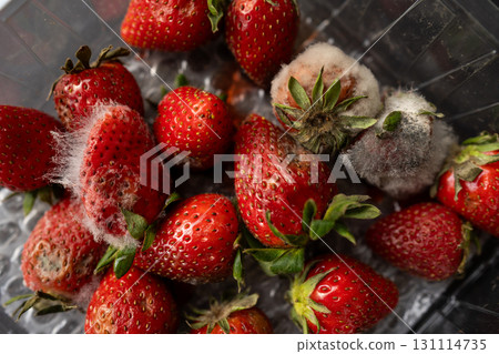 Close-up of strawberries covered with visible mold inside a plastic container, symbolizing spoilage, contamination, and unhealthy food. 131114735
