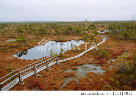 Wooden trail for walking routes through the swamp. Tourism concept, hiking trail, nature. 131114932