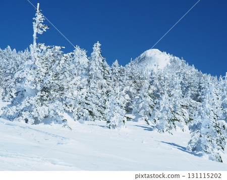 The Rime Forest of Mt. Azumaya The Rime Forest of Mt. Azumaya 131115202