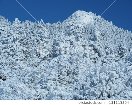 The Rime Forest of Mt. Azumaya 131115204