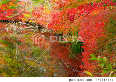 【長野縣】雲場池的紅葉倒映在湖面上 131115555