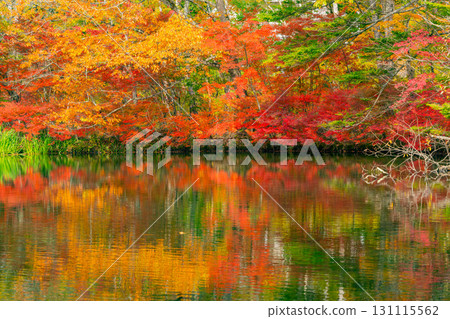 【長野縣】雲場池的紅葉倒映在湖面上 131115562