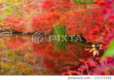 【長野縣】雲場池的紅葉倒映在湖面上 131115564