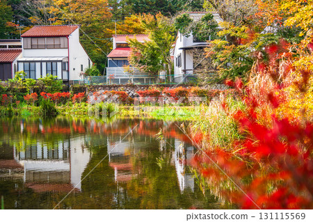 [Nagano Prefecture] Autumn leaves at Kumoba Pond reflected on the lake surface 131115569