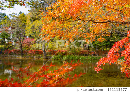 【長野縣】雲場池的紅葉倒映在湖面上 131115577