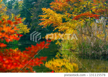 【長野縣】雲場池的紅葉倒映在湖面上 【長野縣】雲場池的紅葉倒映在湖面上 131115578