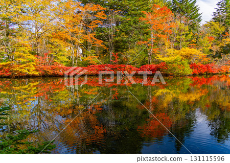 【長野縣】雲場池的紅葉倒映在湖面上 131115596