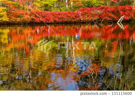 【長野縣】雲場池的紅葉倒映在湖面上 131115600