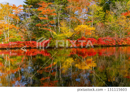 [Nagano Prefecture] Autumn leaves at Kumoba Pond reflected on the lake surface 131115603