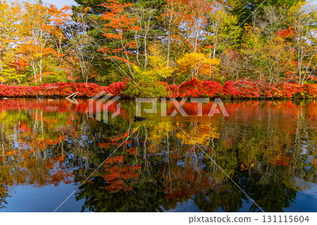【長野縣】雲場池的紅葉倒映在湖面上 131115604
