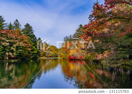 [Nagano Prefecture] Autumn leaves at Kumoba Pond reflected on the lake surface 131115703