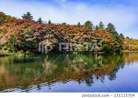 [Nagano Prefecture] Autumn leaves at Kumoba Pond reflected on the lake surface 131115704