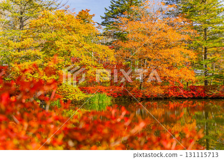 [Nagano Prefecture] Autumn leaves at Kumoba Pond reflected on the lake surface 131115713