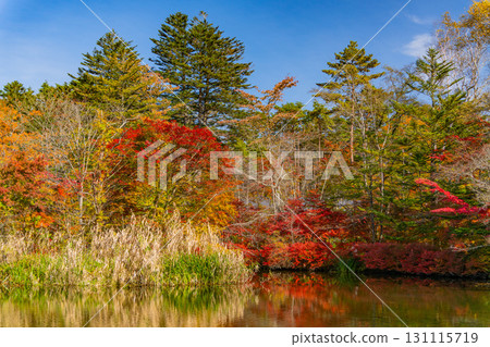 【長野縣】雲場池的紅葉倒映在湖面上 131115719