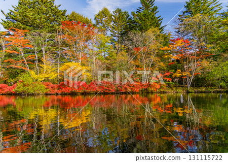 [Nagano Prefecture] Autumn leaves at Kumoba Pond reflected on the lake surface 131115722