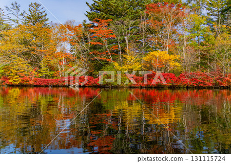 【長野縣】雲場池的紅葉倒映在湖面上 131115724