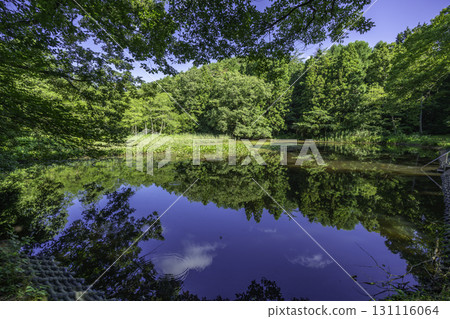 島根縣飯南町長尾池赤名濕地 島根縣飯南町長尾池赤名濕地 131116064