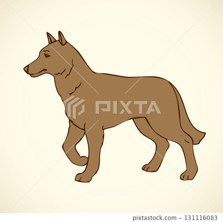 Vector outline drawing. Purebred dogs and mongrels Vector outline drawing. Purebred dogs and mongrels 131116083
