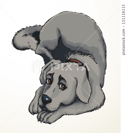 Vector drawing. Dog lying on the carpet Vector drawing. Dog lying on the carpet 131116115