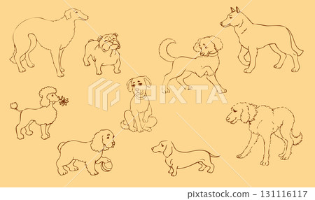 Vector outline drawing. Purebred dogs and mongrels 131116117