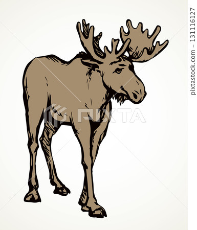Big horned elk. Vector drawing Big horned elk. Vector drawing 131116127